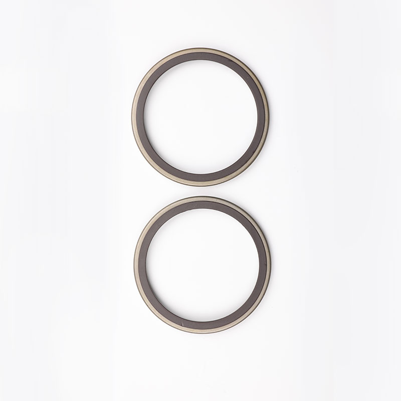 Discus Magnetic Ring